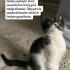 Acil yuva sokağa dönecek fotoğraf
