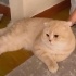 Çok tatlıyım çok