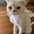 Çok tatlıyım çok fotoğraf