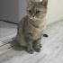 Kuruyemişlerin en güzeli Fıstık fotoğraf