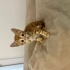 Annesini kaybetmiş yavru kedi fotoğraf
