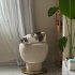 Sadık ve Uysal Tekir Kedi Sahiplendirilmek Üzere fotoğraf