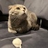 2 YAŞINDA OĞLUMUZ OSCAR İÇİN YUVA ARIYORUZ fotoğraf