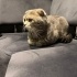 2 YAŞINDA OĞLUMUZ OSCAR İÇİN YUVA ARIYORUZ fotoğraf