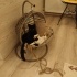 Ailem olur musunuz lütfen fotoğraf