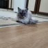 Güzel cocuklarımıza yuva arıyoruz. fotoğraf