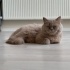Lütfen sonuna kadar okuyun …. fotoğraf