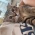 Minik bebeğe yuva olmak ister misiniz (ACİL fotoğraf