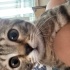 Minik bebeğe yuva olmak ister misiniz (ACİL fotoğraf