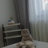 Bıdık oğlumuz yuva arıyor fotoğraf