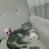 Erkek bir yaş kırık kulak fotoğraf