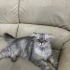 Sokağı terk edilmiş fotoğraf