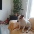 Güzel kızımıza ömürlük yuva fotoğraf
