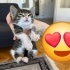 Cep Boy Bebişe Kalıcı Yuvasını Arıyoruz fotoğraf