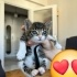 Cep Boy Bebişe Kalıcı Yuvasını Arıyoruz fotoğraf