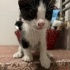 ÇOOOOOOOK ACİLLLLLLL YUVA!!!!!!!!!!!!!!!!!!!!!!!!!!!!!!!!!!! fotoğraf