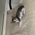 Eve gelme sebebiniz olacak bir prenses fotoğraf