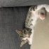 Eve gelme sebebiniz olacak bir prenses fotoğraf