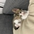 Hayatınıza neşe getirecek bebek fotoğraf