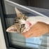 Hayatınıza neşe getirecek bebek fotoğraf