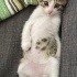 Hayatınıza neşe getirecek bebek fotoğraf