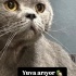 Prens yuva arıyor fotoğraf