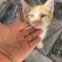 Acil yuva arıyor kuma yapsanını biliyor cok tatlı fotoğraf