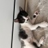 Oyuncu Smokinimiz 2 fotoğraf