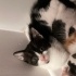 Oyuncu smokinv3 fotoğraf