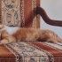 MİNİK SEVGİ DOLU OĞLUM AZLAN fotoğraf