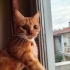 MİNİK SEVGİ DOLU OĞLUM AZLAN fotoğraf