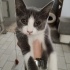 Petek kız ömğrlpkmyuvaısnu arıyor fotoğraf