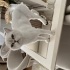 Safkan British Shorthair bluepoint fotoğraf