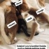 Ava’nın Çocukları fotoğraf