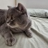 GÜZEL OĞLUMA SEVGİYLE BAKACAK AİLE fotoğraf