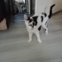 Güzel kardeşlere yuva fotoğraf
