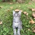 5i birbirinden güzel fotoğraf
