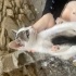 2 aylık yavru kedi fotoğraf