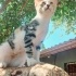 O sizi sahiplenir :) fotoğraf