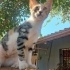 O sizi sahiplenir :) fotoğraf