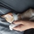 Yakışıklı 2 aylık fotoğraf