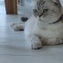 Masal kıza yuva
