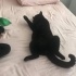 çok uslu sessiz sakin bi kediş fotoğraf