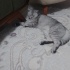 Yuvam olur musun fotoğraf
