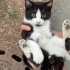 Annem babam olur musun🙏🖐️ fotoğraf