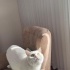 Casper 'a yuva arıyoruz fotoğraf