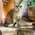 Ömürlük yuva 05362920371 fotoğraf