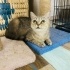 Ömürlük yuva 05362920371 fotoğraf