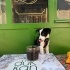 Minik Prenses Yuva Arıyor! fotoğraf