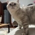 Güzel kızımıza sıcak yuva arıyoruz fotoğraf